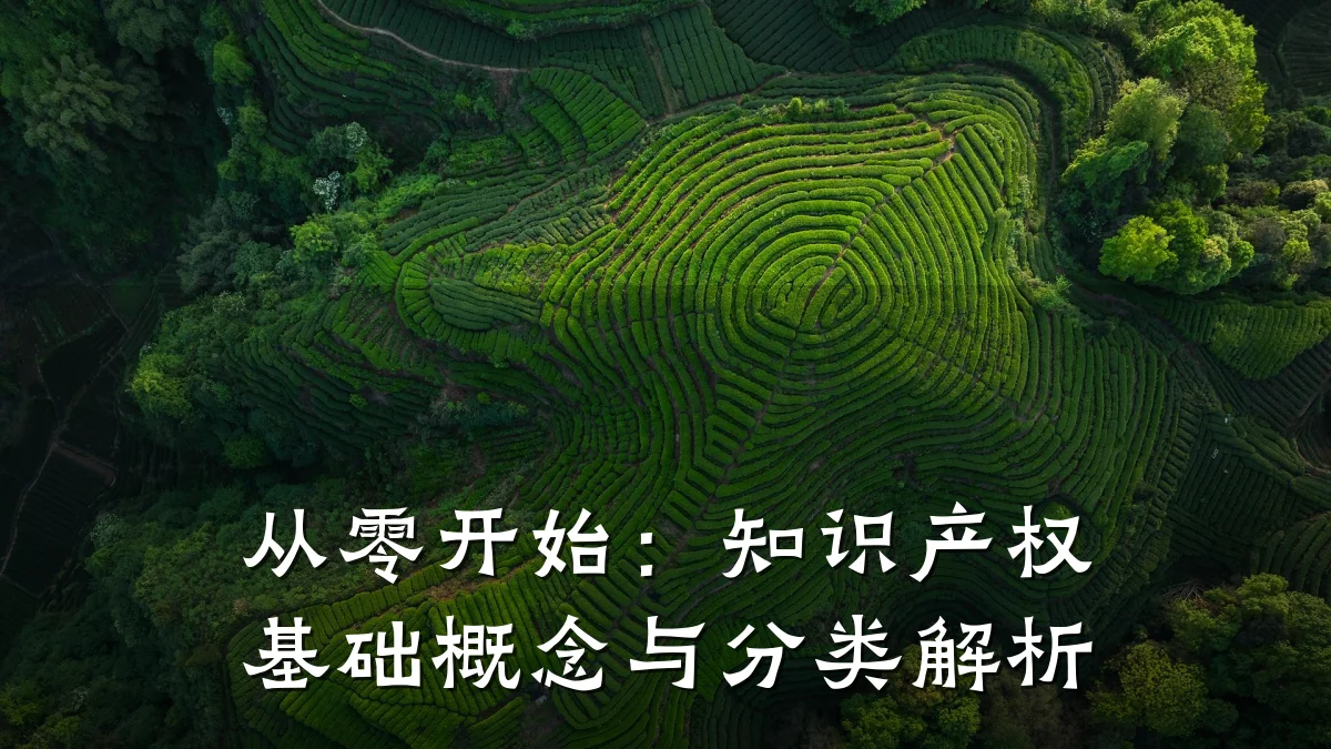 从零开始：知识产权基础概念与分类解析