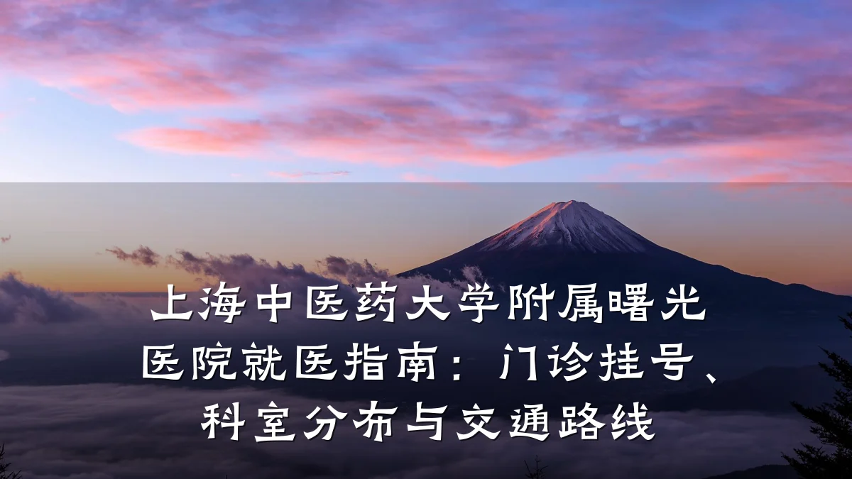 上海中医药大学附属曙光医院就医指南：门诊挂号、科室分布与交通路线