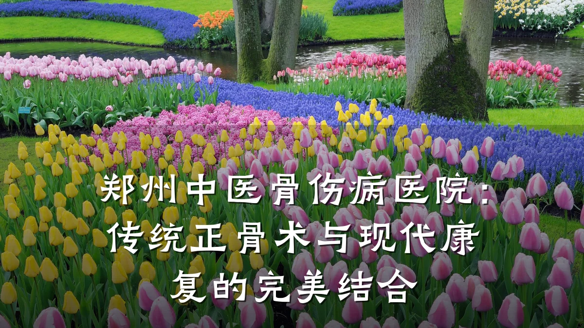 郑州中医骨伤病医院：传统正骨术与现代康复的完美结合