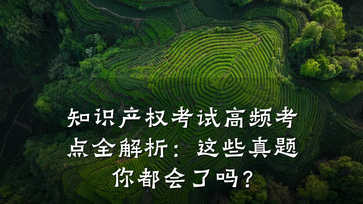 知识产权考试高频考点全解析:这些真题你都会了吗?