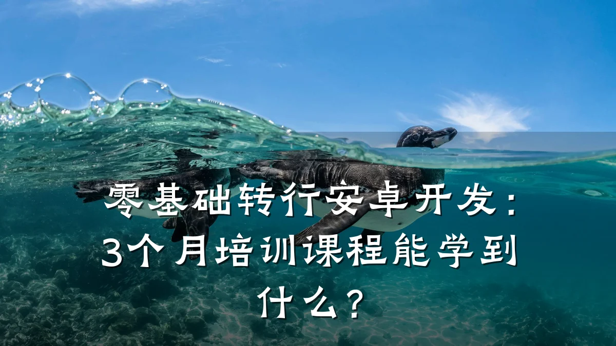 零基础转行安卓开发:3个月培训课程能学到什么?