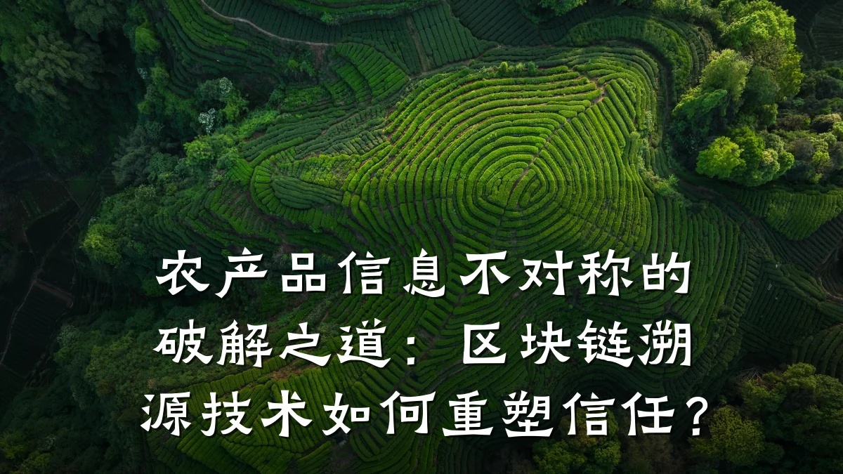 农产品信息不对称的破解之道：区块链溯源技术如何重塑信任？