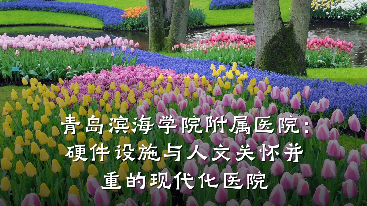 青岛滨海学院附属医院:硬件设施与人文关怀并重的现代化医院
