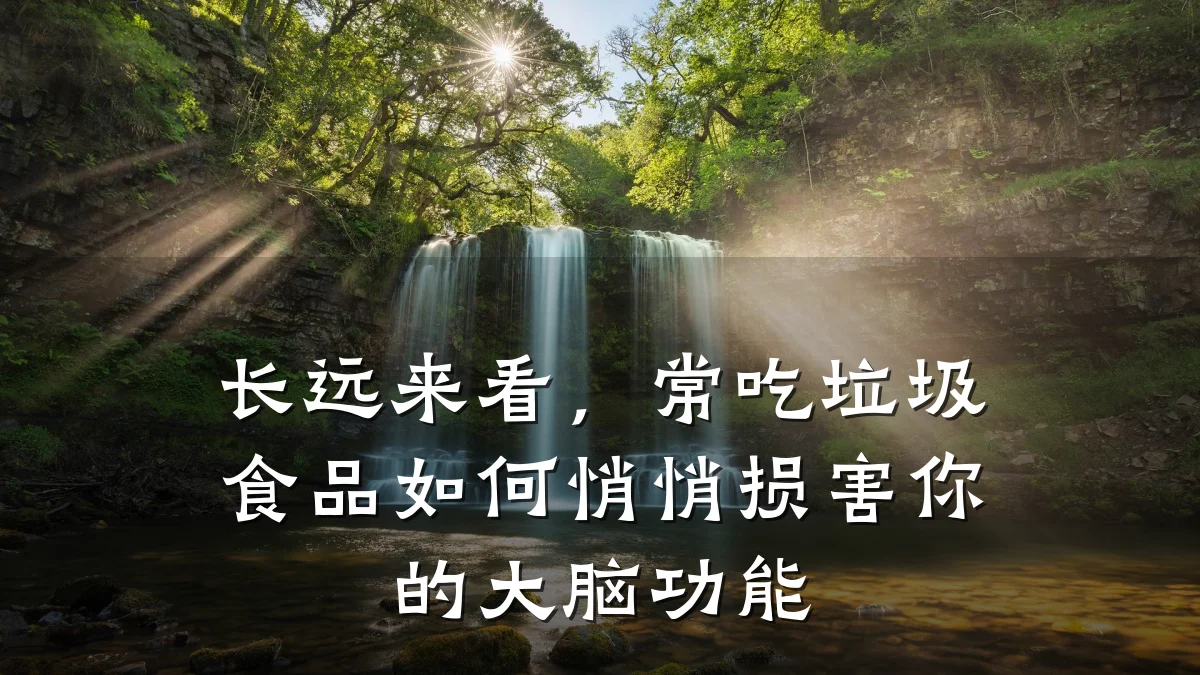长远来看,常吃垃圾食品如何悄悄损害你的大脑功能