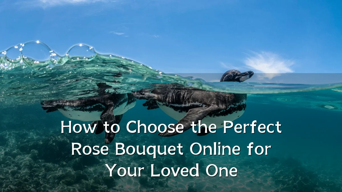 How to Choose the Perfect Rose Bouquet Online for Your Loved One