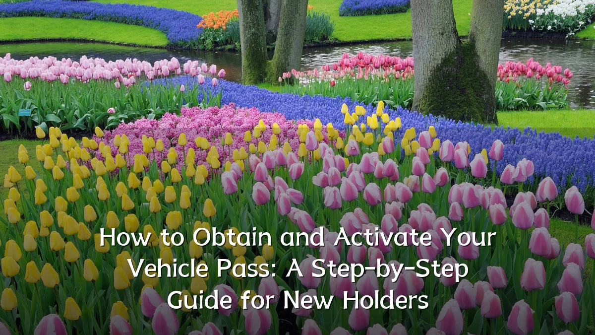 How to Obtain and Activate Your Vehicle Pass: A Step-by-Step Guide for New Holders