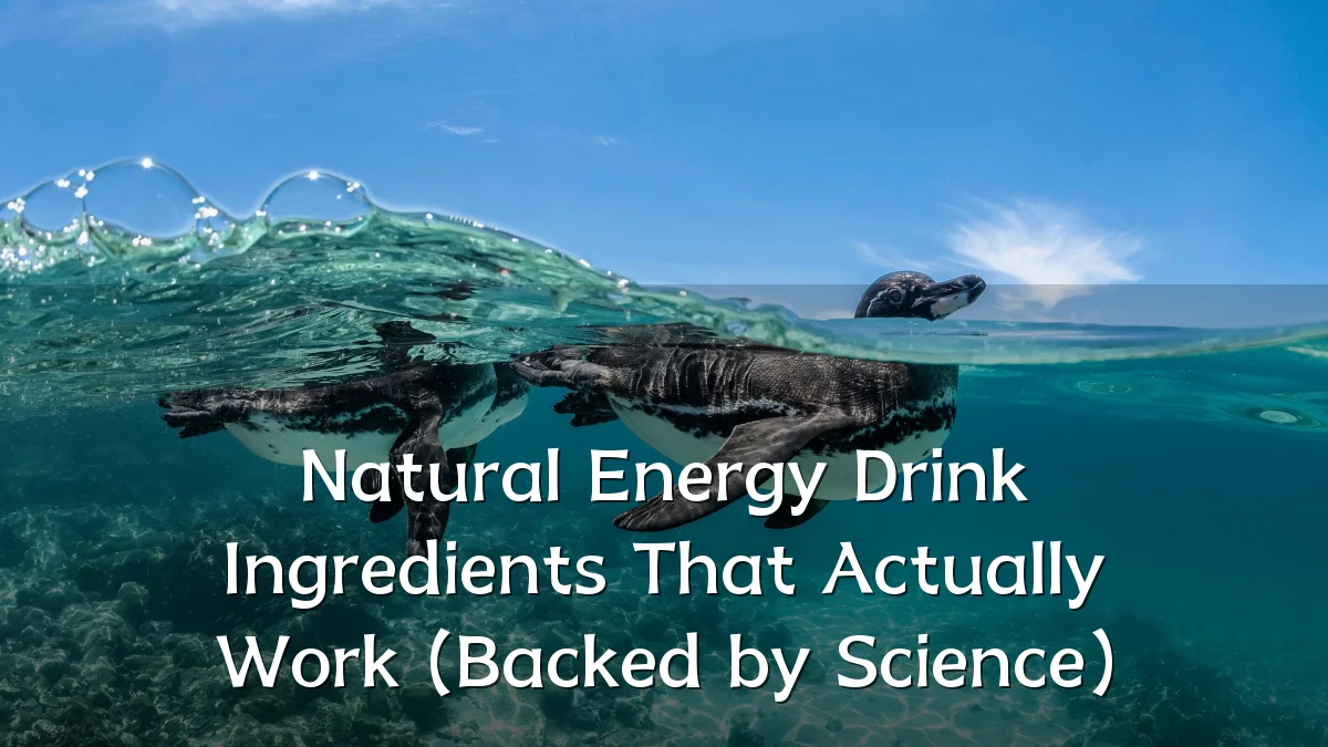 Natural Energy Drink Ingredients That Actually Work (Backed by Science)