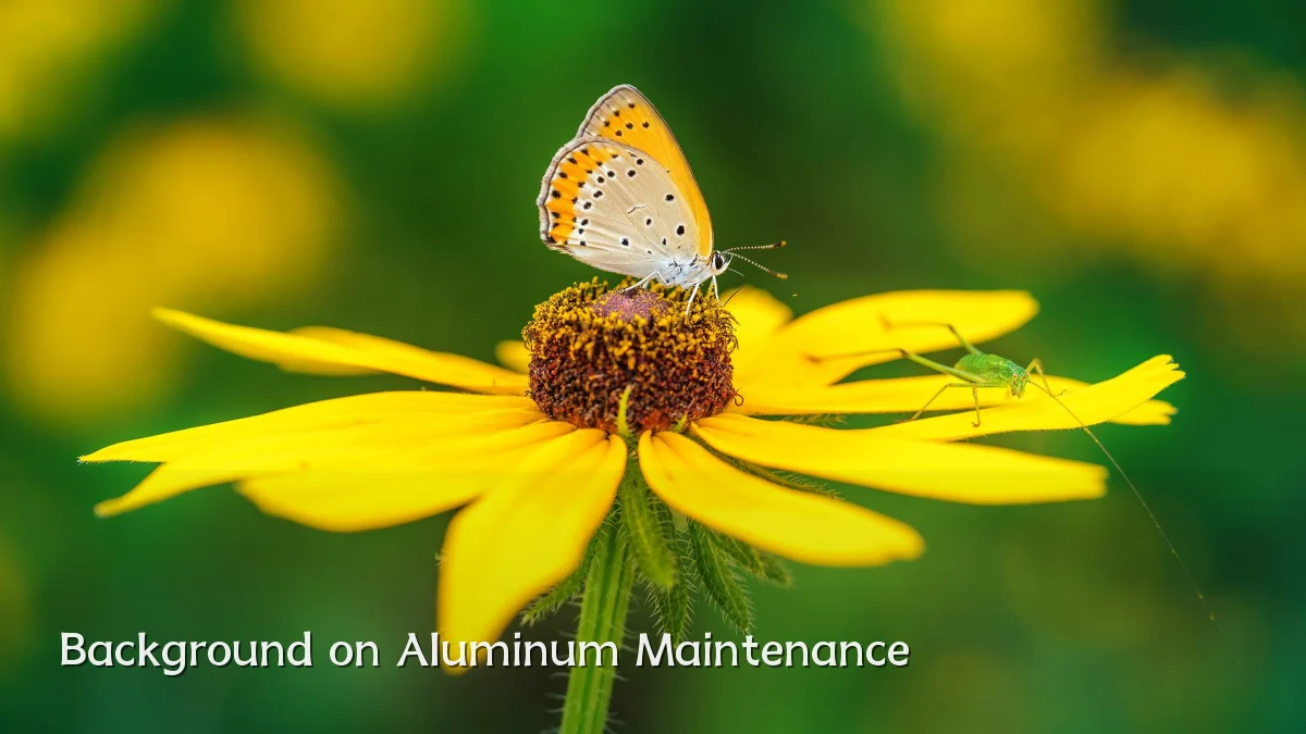 Background on Aluminum Maintenance