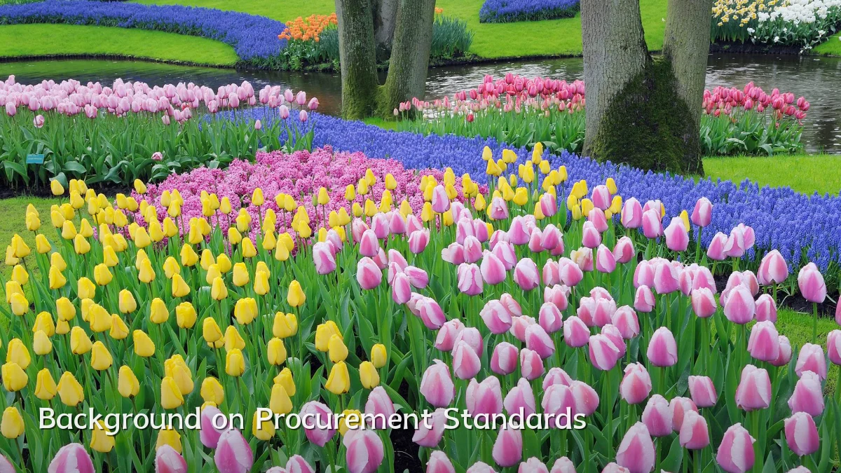 Background on Procurement Standards