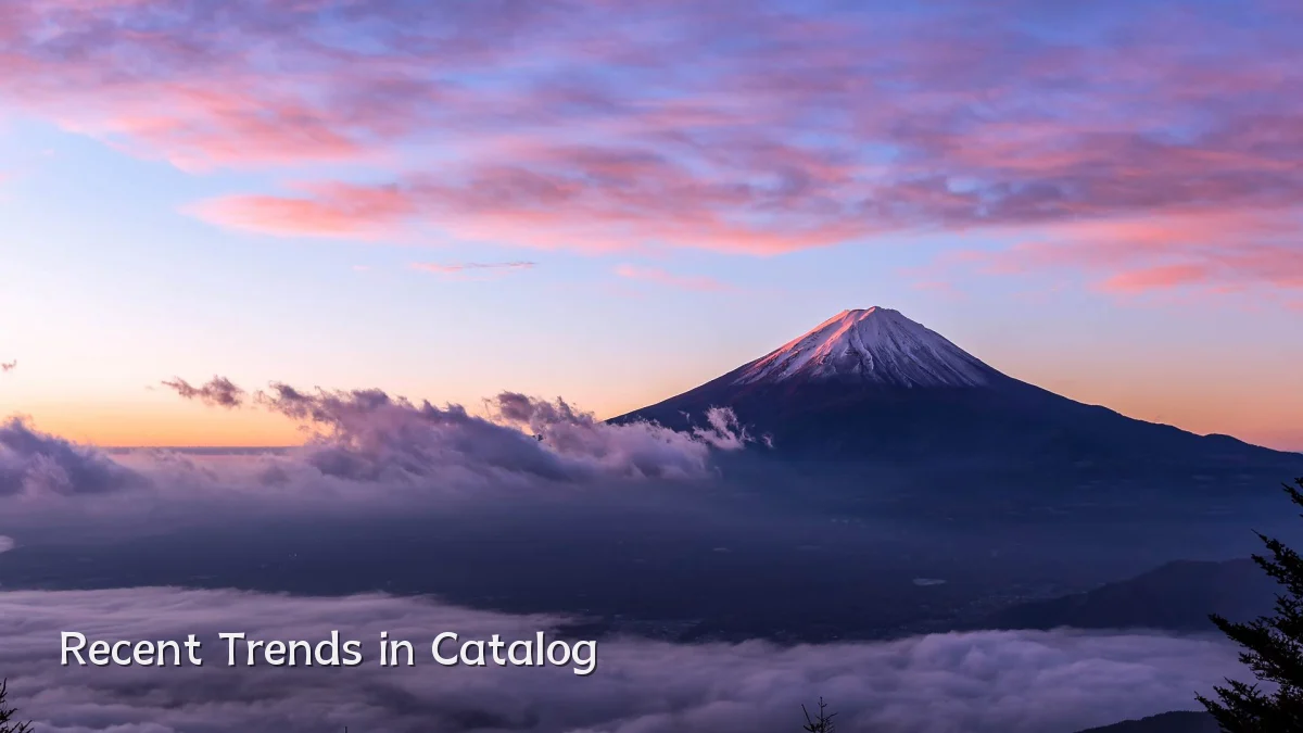 Recent Trends in Catalog