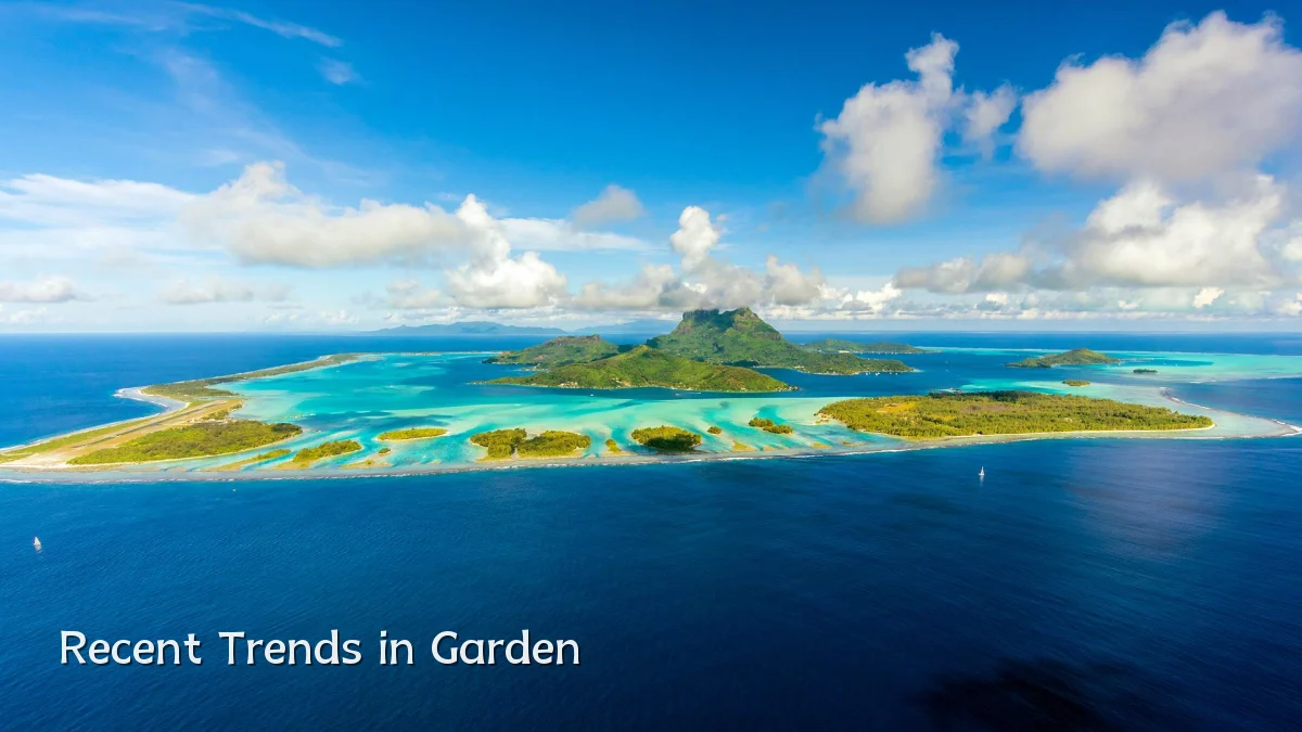 Recent Trends in Garden