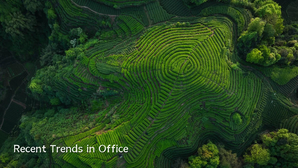 Recent Trends in Office