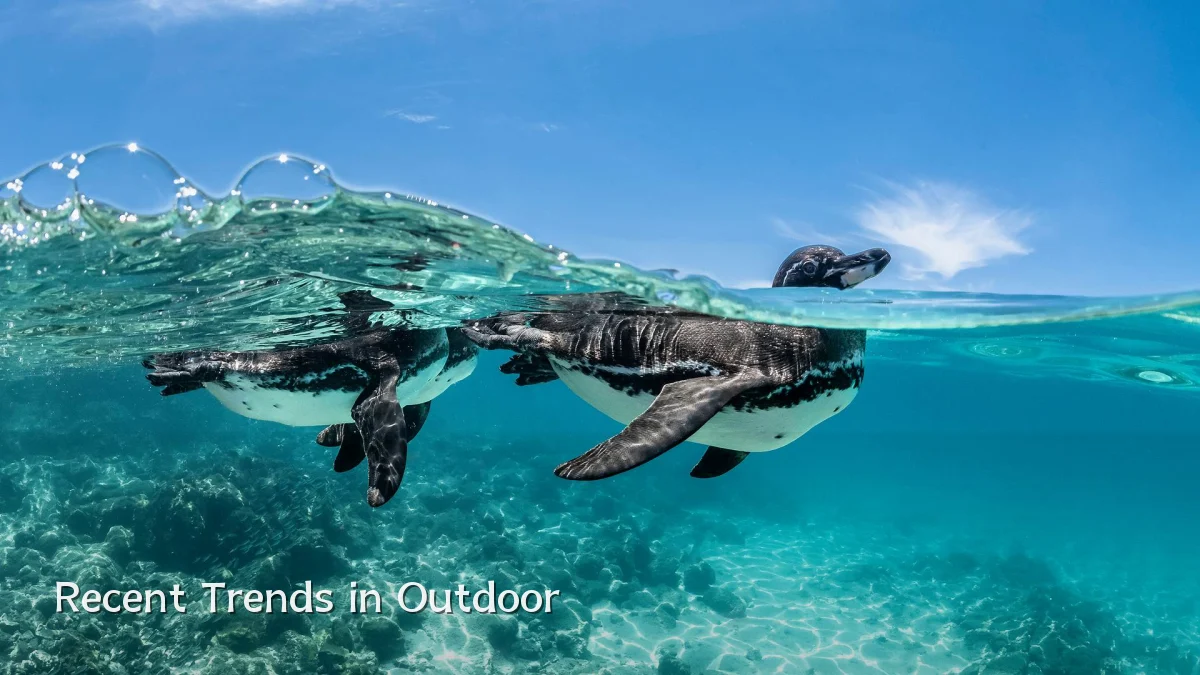 Recent Trends in Outdoor