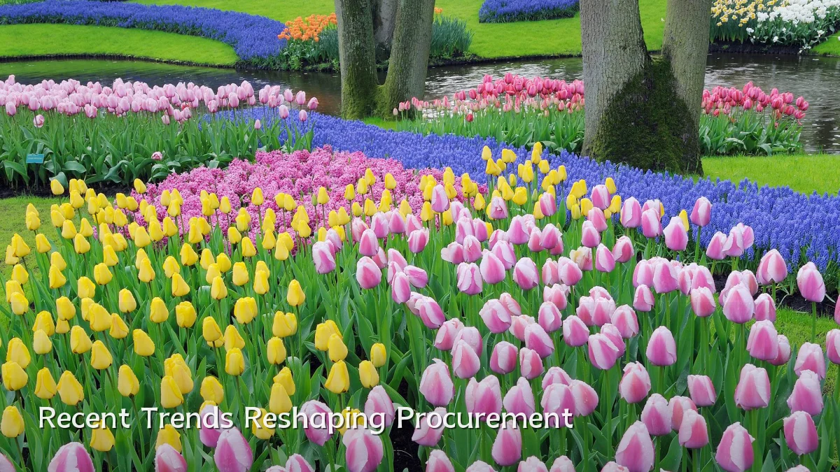 Recent Trends Reshaping Procurement