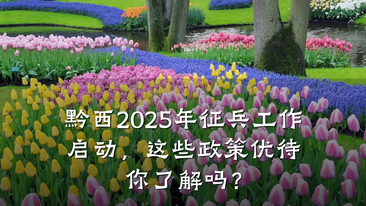 黔西2025年征兵工作启动,这些政策优待你了解吗?
