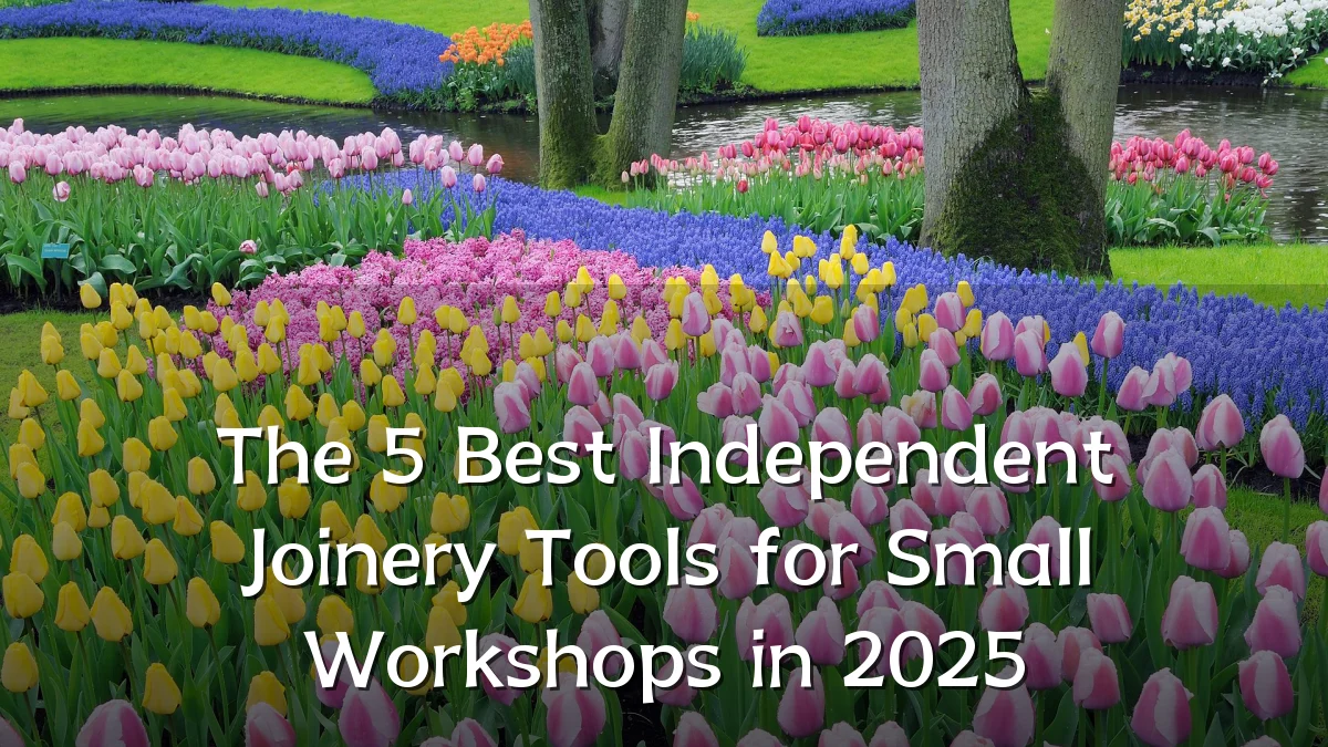The 5 Best Independent Joinery Tools for Small Workshops in 2025