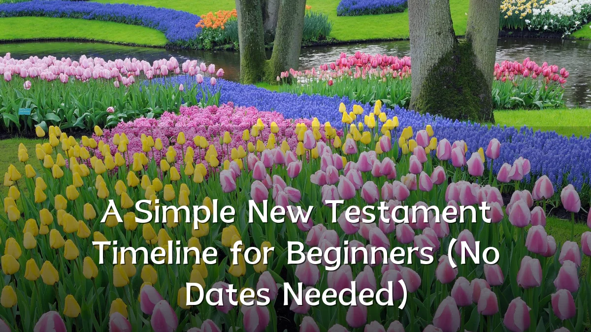 A Simple New Testament Timeline for Beginners (No Dates Needed)