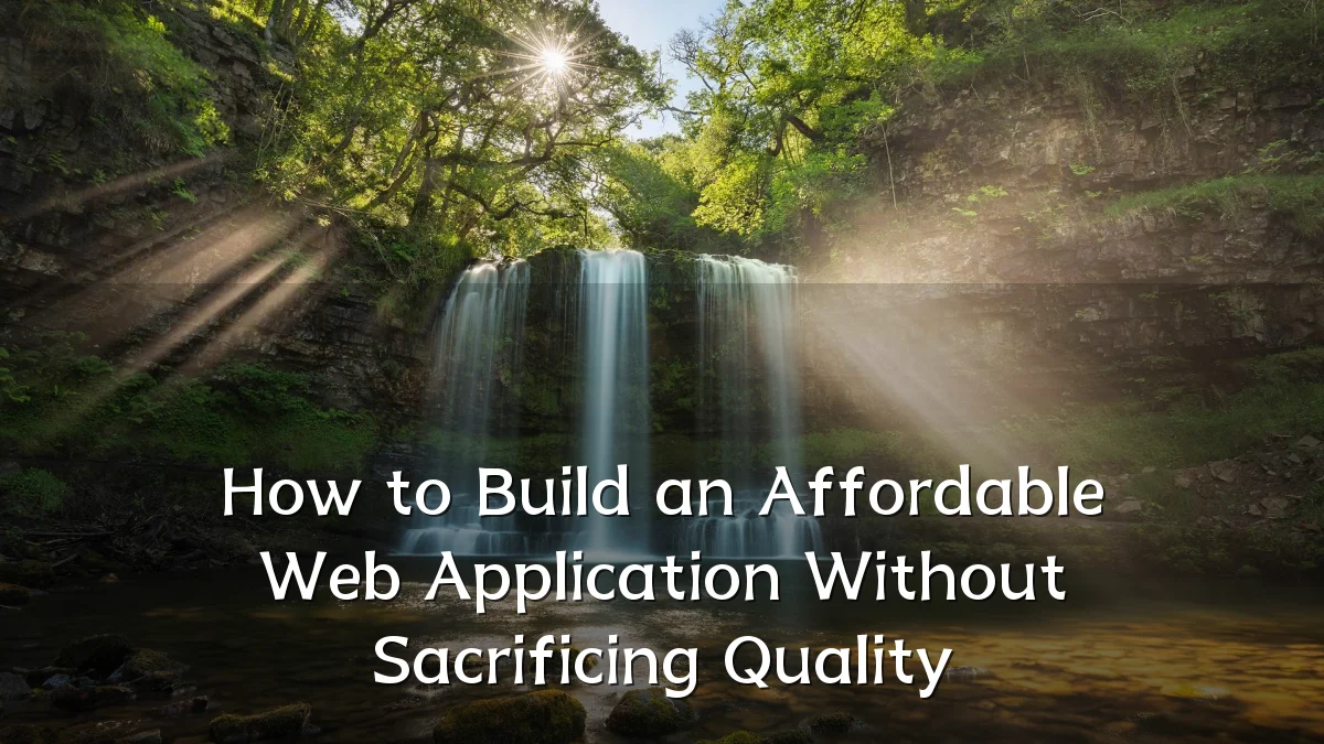 How to Build an Affordable Web Application Without Sacrificing Quality