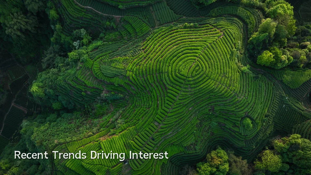 Recent Trends Driving Interest