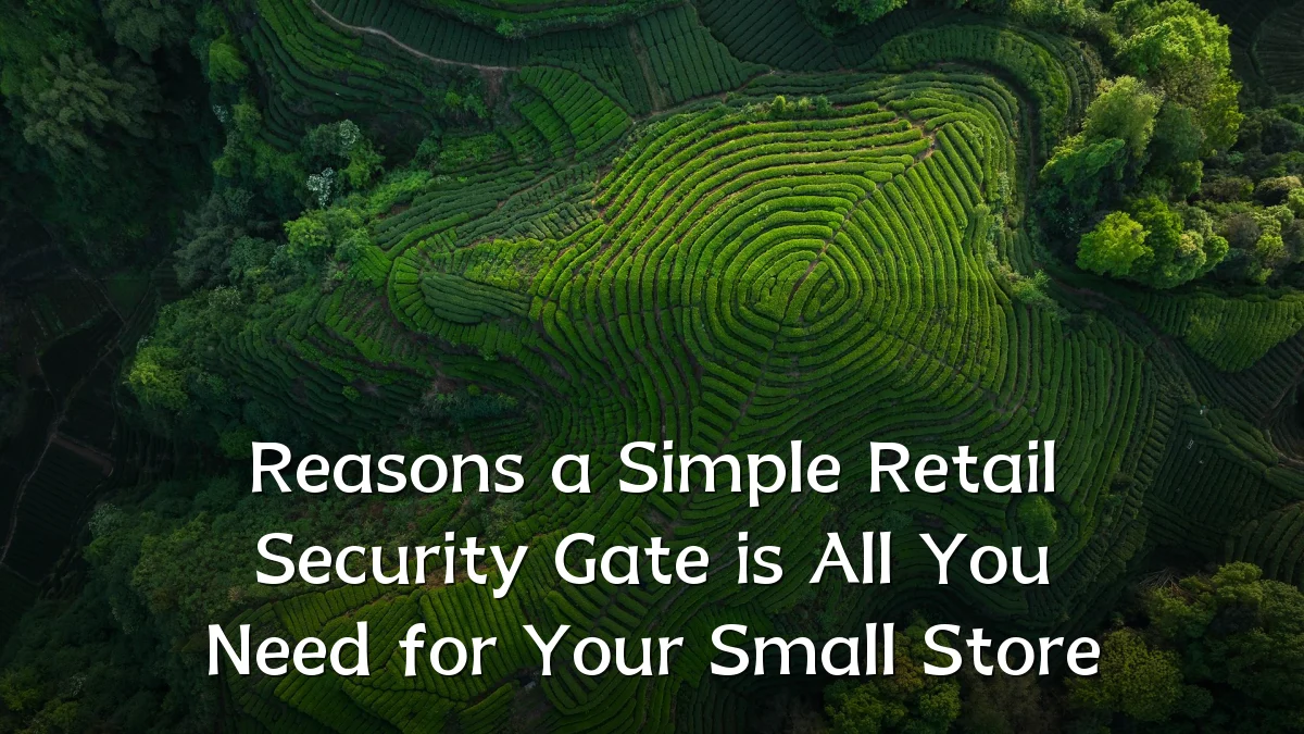 Reasons a Simple Retail Security Gate is All You Need for Your Small Store