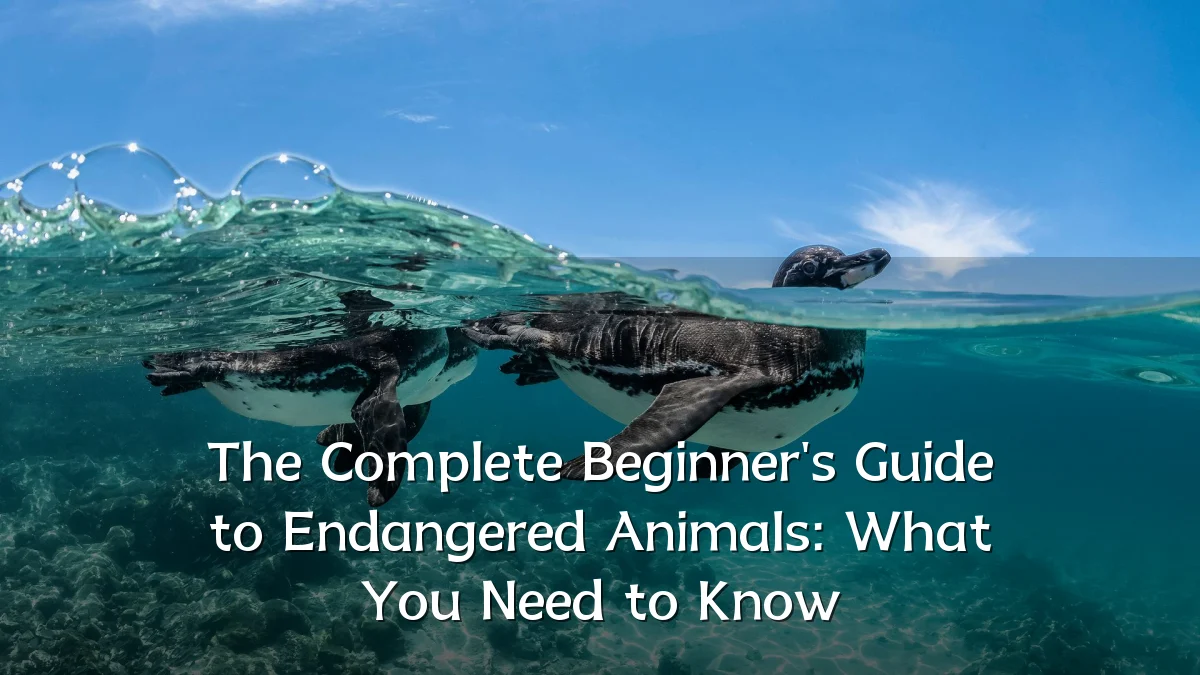 The Complete Beginner's Guide to Endangered Animals: What You Need to Know