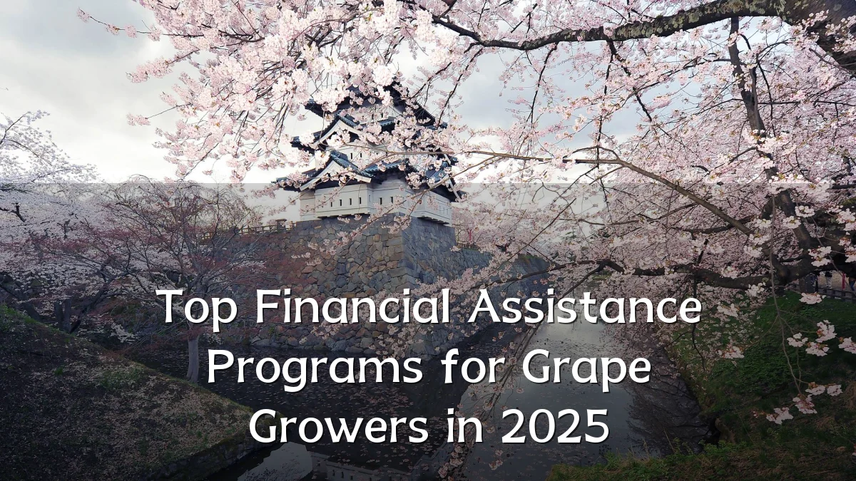 Top Financial Assistance Programs for Grape Growers in 2025