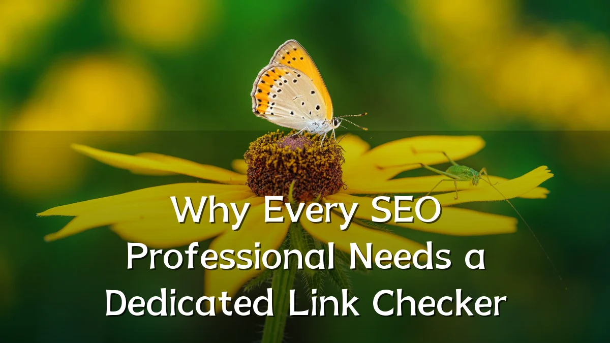 Why Every SEO Professional Needs a Dedicated Link Checker