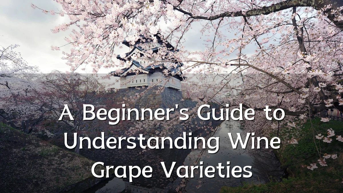 A Beginner's Guide to Understanding Wine Grape Varieties