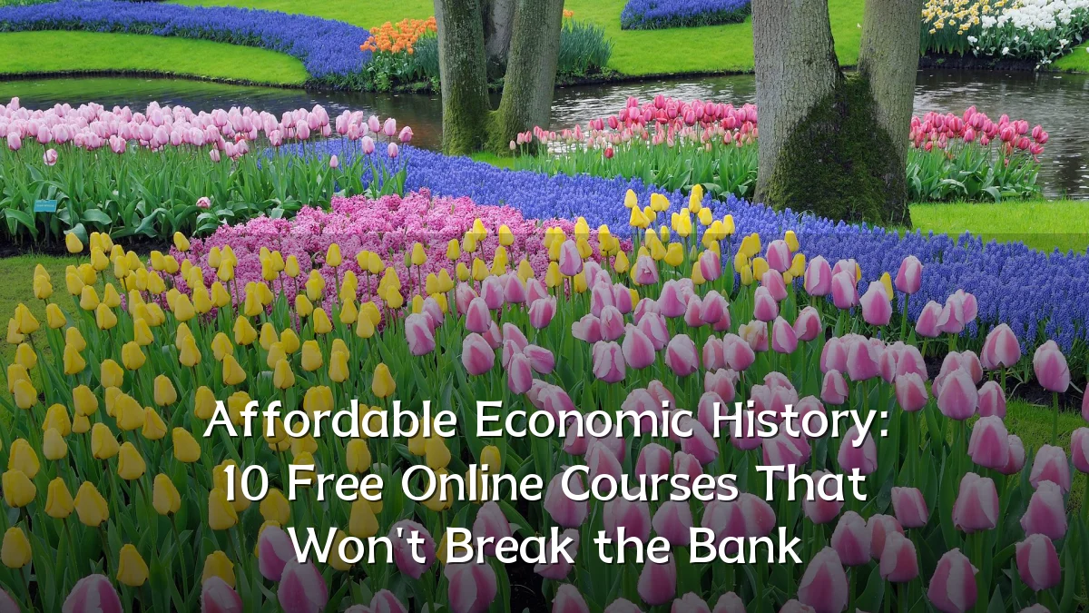 Affordable Economic History: 10 Free Online Courses That Won't Break the Bank
