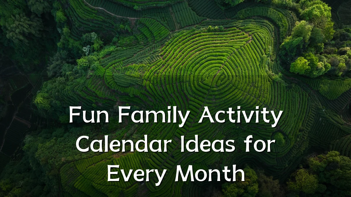 Fun Family Activity Calendar Ideas for Every Month