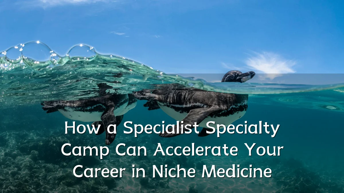 How a Specialist Specialty Camp Can Accelerate Your Career in Niche Medicine