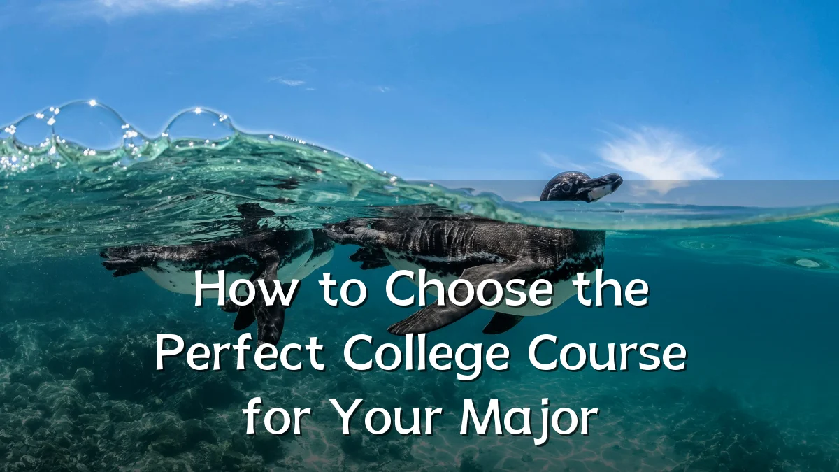How to Choose the Perfect College Course for Your Major