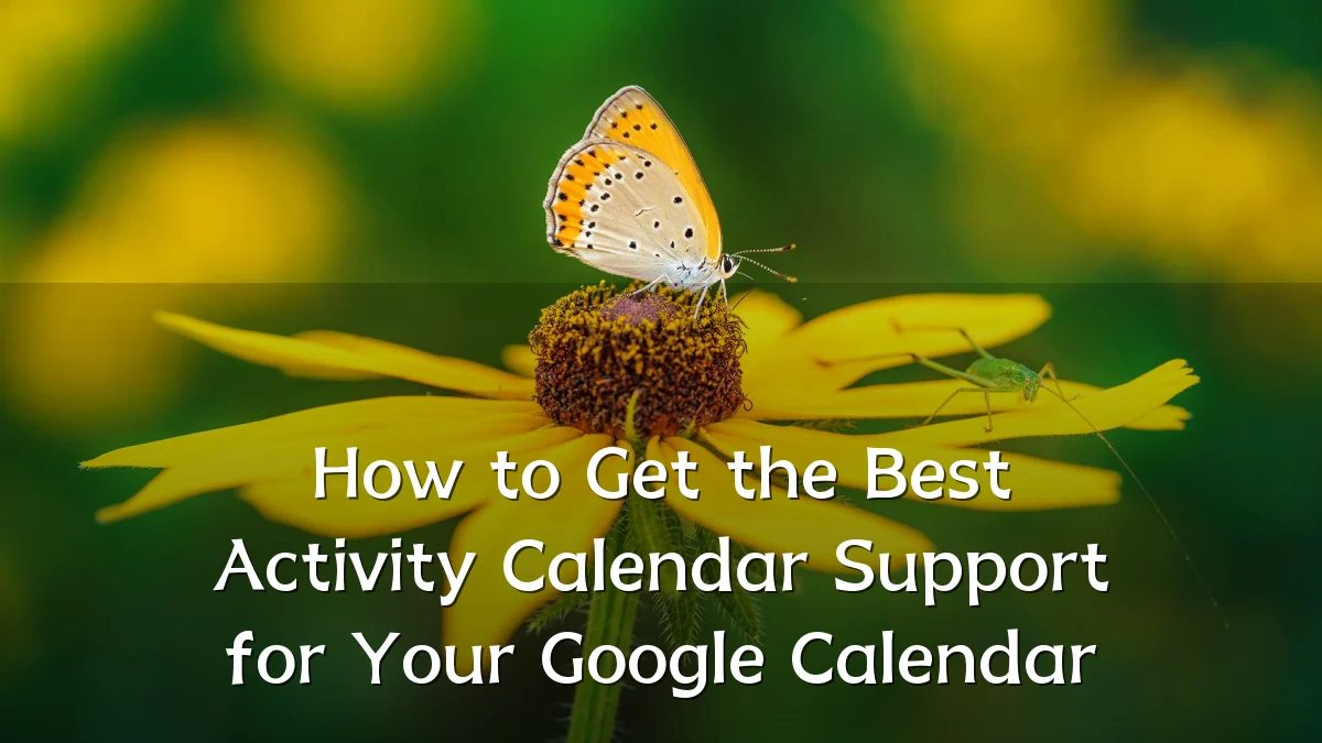 How to Get the Best Activity Calendar Support for Your Google Calendar