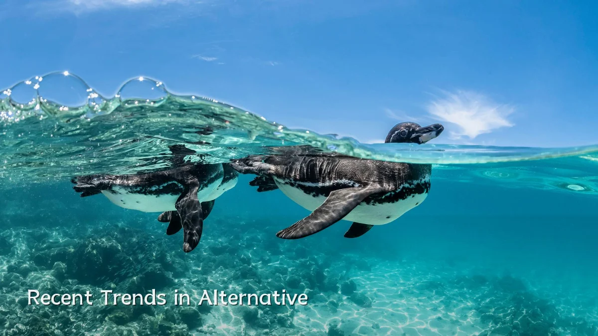 Recent Trends in Alternative