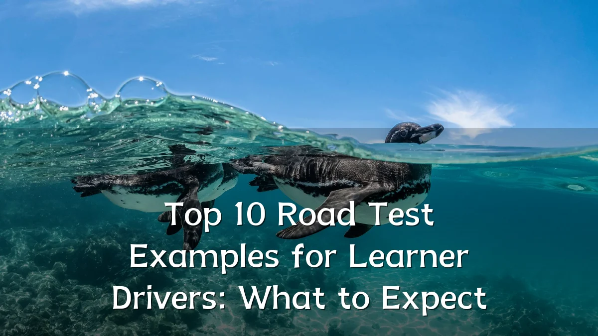 Top 10 Road Test Examples for Learner Drivers: What to Expect