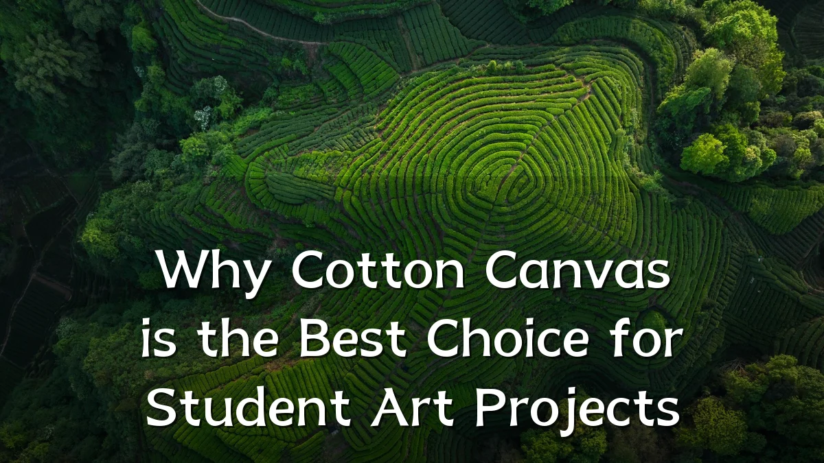 Why Cotton Canvas is the Best Choice for Student Art Projects