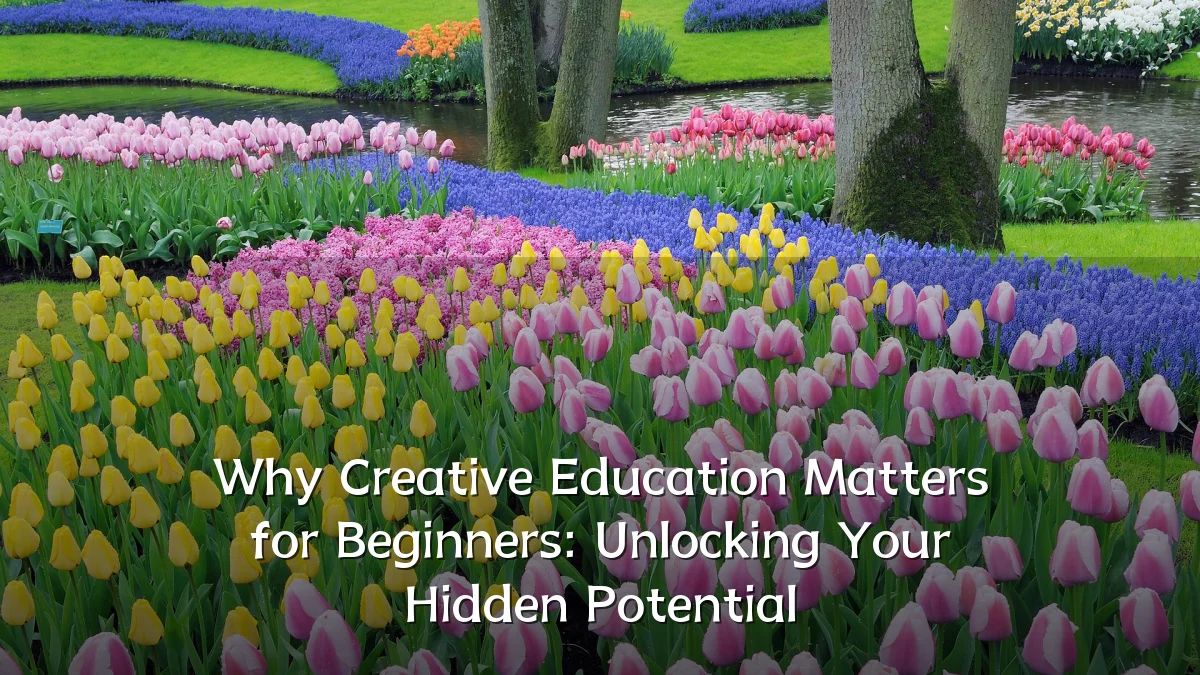 Why Creative Education Matters for Beginners: Unlocking Your Hidden Potential