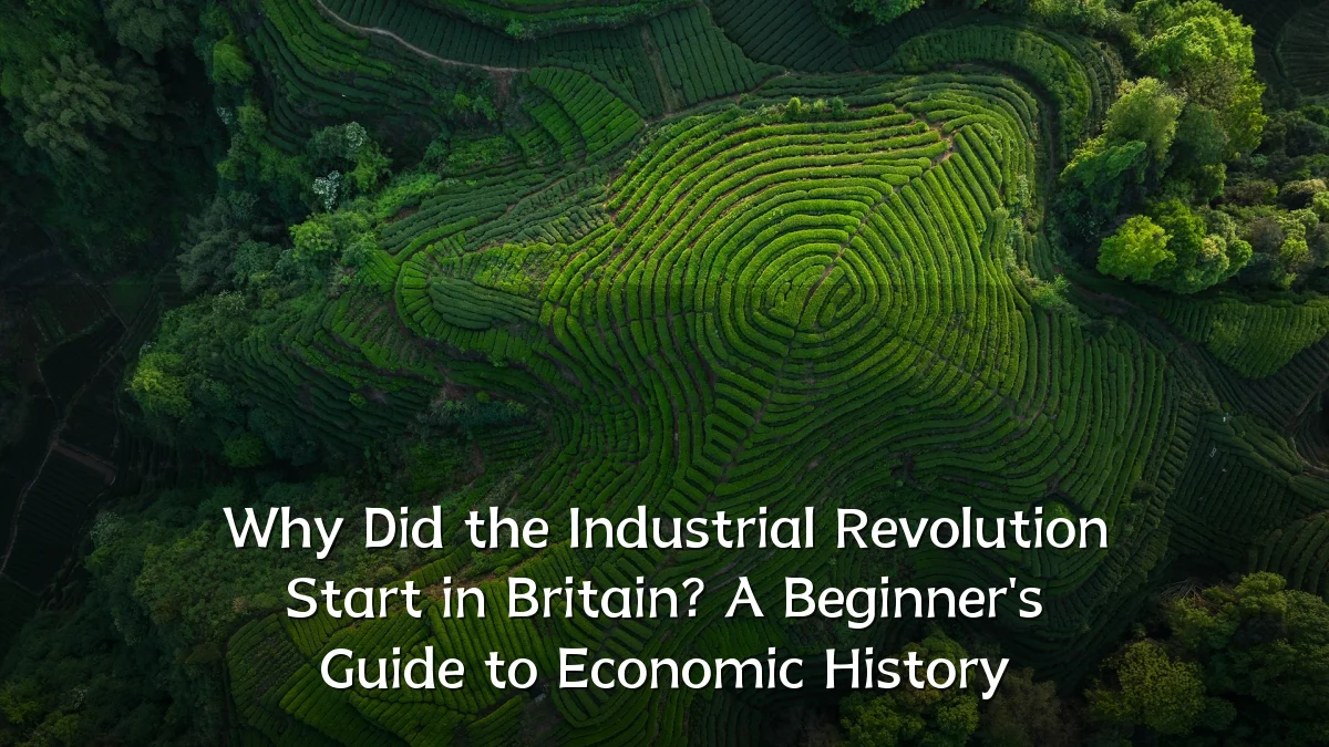 Why Did the Industrial Revolution Start in Britain? A Beginner's Guide to Economic History