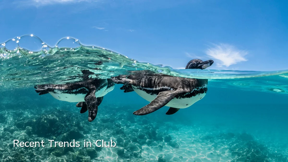 Recent Trends in Club