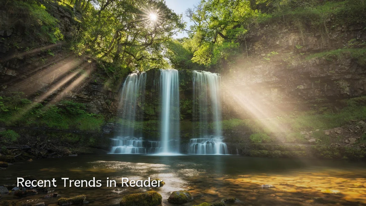 Recent Trends in Reader