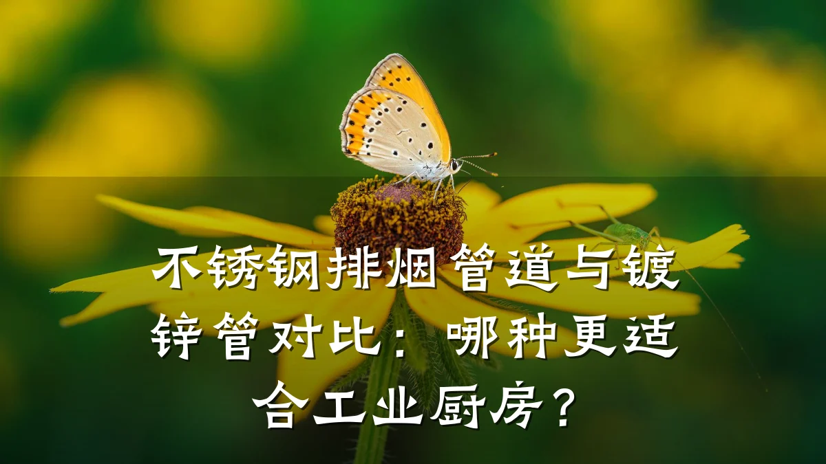 不锈钢排烟管道与镀锌管对比:哪种更适合工业厨房?