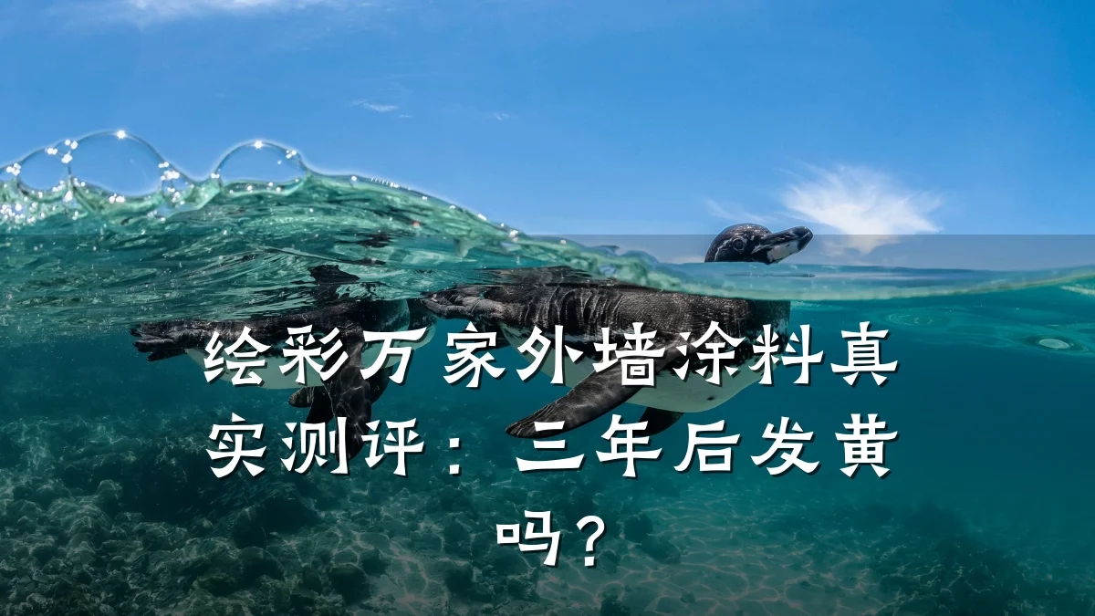 绘彩万家外墙涂料真实测评：三年后发黄吗？