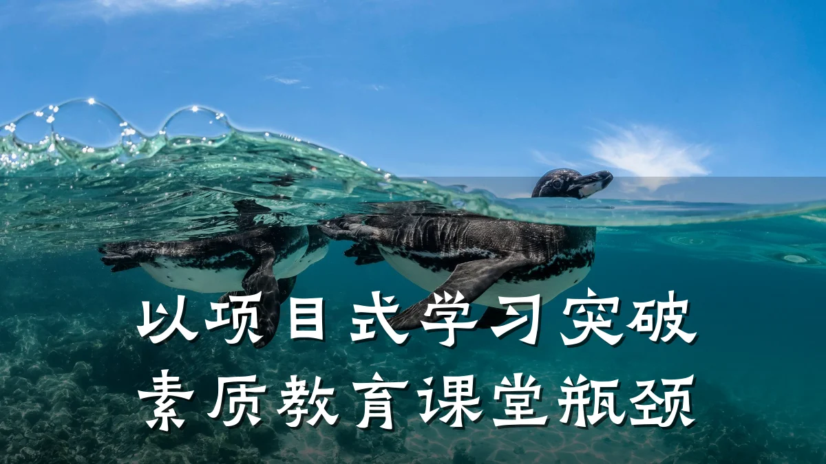 以项目式学习突破素质教育课堂瓶颈